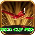 2019 world cup Gaming Pro