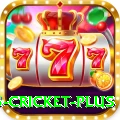 bet365 cricket Mega Gaming App