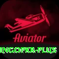 bingopkr Apps (Tools & Injectors) Plus v3.8.2