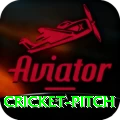cricket pitch Elite v2.2.0