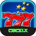 crickex Gold v5.4.6