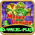 david wiese Casino Premium v5.5.4