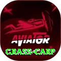 grass carp VIP Edition v5.9.4