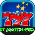 india cricket match Champion v5.5.5