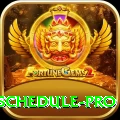 india next cricket match schedule Plus APK v2.7.1