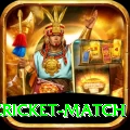 india pakistan cricket match Premium Plus v5.0.5
