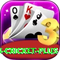 india pakistan cricket Gaming Max v5.3.4