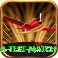 india test match VIP Edition v3.4.5