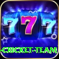 ireland cricket team Apps (Tools & Injectors) Ultimate v1.3.4