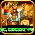 make money betting cricket pk VIP v2.1.9