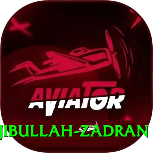 najibullah zadran Max Pro v3.0.7 - 2