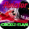 pakistan women cricket team Turbo v2.3.8