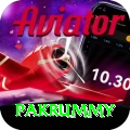 pakrummy Master Pro v4.8.5