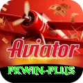pkwin Gold Pro vv3.2.6