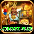 sa cricket Casino Official v4.9.8