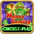 sports cricket - Royal Earning App