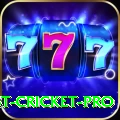 test cricket - Casino Mega