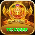 tiger888 Premium Plus vv1.9.7