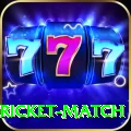 to day cricket match Plus Edition v5.5.7