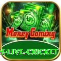 watch live cricket Plus