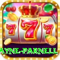 wayne parnell Pro Edition v2.8.4
