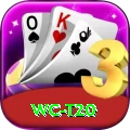 wc t20 Plus v3.1.4