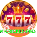 willow cricket Mega - Casino & Slots